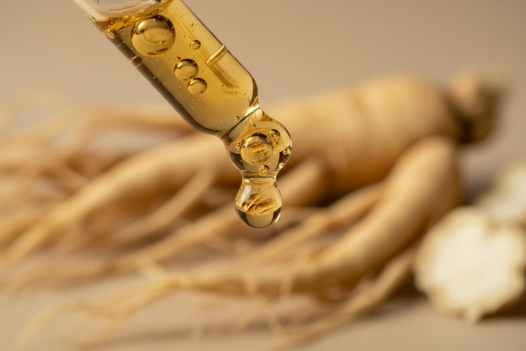Ginseng Root Extract (Panax ginseng) close up
